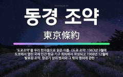 🌟동경 조약: ‘도쿄조약’을 우리 한자음으로 읽은 이름. (도쿄 조약: 1963년 9월에 도쿄에서 열린 국... - 표준국어대사전