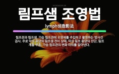 🌟림프샘 조영법: 림프관과 림프샘, 가슴 림프관에 조영제를 주입하고 촬영하는 방사선 검사. 주로 악성 종양... - 표준국어대사전