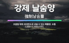 🌟강제 날숨양: 호흡할 때에 최대한도로 내쉴 수 있는 폐활량. 보통 1,000~1,500cc이다. - 표준국어대사전