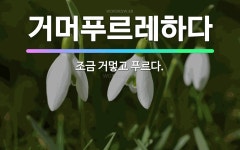 🌟거머푸르레하다: 조금 거멓고 푸르다. - 표준국어대사전