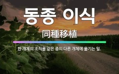 🌟동종 이식: 한 개체의 조직을 같은 종의 다른 개체에 옮기는 일. - 표준국어대사전