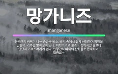 🌟망가니즈: 은백색의 광택이 나는 중금속 원소. 공기 속에서 쉽게 산화하여 피막을 만들며, 가루는 발화성이... - 표준국어대사전