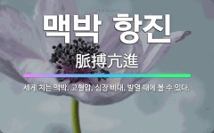 🌟맥박 항진: 세게 치는 맥박. 고혈압, 심장 비대, 발열 때에 볼 수 있다. - 표준국어대사전