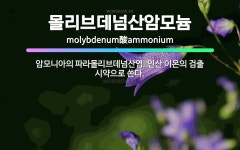 🌟몰리브데넘산암모늄: 암모니아의 파라몰리브데넘산염. 인산 이온의 검출 시약으로 쓴다. - 표준국어대사전