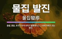 🌟물집 발진: 좁쌀, 콩알, 호두만 하게 표피가 볼록해지고 그 속에 액체가 괴는 발진. - 표준국어대사전