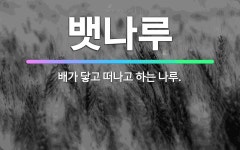 🌟뱃나루: 배가 닿고 떠나고 하는 나루. - 표준국어대사전