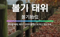 🌟볼기 태위: 해산할 때에, 태아가 엉덩이를 밑으로 하고 있는 자세. - 표준국어대사전