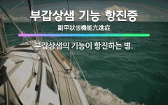 🌟부갑상샘 기능 항진증: 부갑상샘의 기능이 항진하는 병. - 표준국어대사전