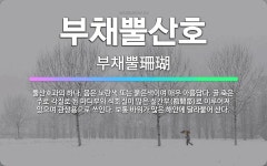 🌟부채뿔산호: 뿔산호과의 하나. 몸은 노란색 또는 붉은색이며 매우 아름답다. 골 축은 주로 각질로 된 마디... - 표준국어대사전