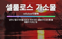 🌟셀룰로스 가소물: 넝마나 펄프 따위를 원료로 하여 만든 셀룰로이드류(類)를 통틀어 이르는 말. - 표준국어대사전