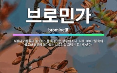 🌟브로민가: 석유나 기름류의 불포화도를 특징짓는 상수의 하나. 시료 100그램 속의 불포화 성분에 첨가되는... - 표준국어대사전