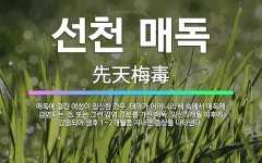 🌟선천 매독: 매독에 걸린 여성이 임신한 경우, 태아가 어머니의 배 속에서 매독에 감염되는 것. 또는 그런... - 표준국어대사전