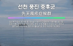 🌟선천 풍진 증후군: 임신부가 임신 초기에 풍진을 앓아 태아가 감염되어 기형아를 낳는 일. 심장 기형, 눈... - 표준국어대사전