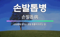 🌟손발톱병: 손발톱에 생기는 병을 통틀어 이르는 말. - 표준국어대사전