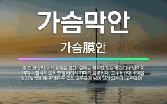 🌟가슴막안: 두 겹 가슴막 속의 밀폐된 공간. 실제는 위치만 있는 공간이나 병으로 액체나 혈액이 고이면 넓... - 표준국어대사전