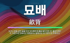 🌟묘배: 논이나 밭을 갈아 골을 타서 두두룩하게 흙을 쌓아 만든 곳. 물갈이에는 두 거웃이 한 두둑이고 마... - 표준국어대사전