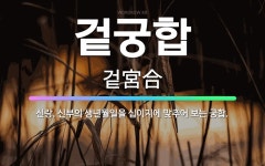 🌟겉궁합: 신랑, 신부의 생년월일을 십이지에 맞추어 보는 궁합. - 표준국어대사전