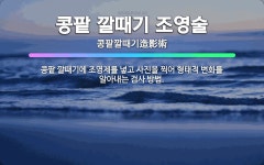 🌟콩팥 깔때기 조영술: 콩팥 깔때기에 조영제를 넣고 사진을 찍어 형태적 변화를 알아내는 검사 방법. - 표준국어대사전