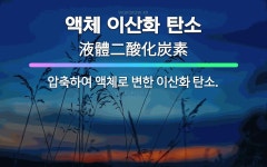 🌟액체 이산화 탄소: 압축하여 액체로 변한 이산화 탄소. - 표준국어대사전