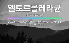 🌟엘토르콜레라균: 엘토르콜레라를 일으키는 병원균. 약간 구부러진 편모(鞭毛)가 하나 있고 열에 약하다. - 표준국어대사전