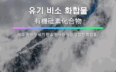 🌟유기 비소 화합물: 비소 원자가 유기 탄소 원자와 직접 결합한 화합물. - 표준국어대사전