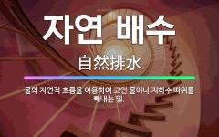 🌟자연 배수: 물의 자연적 흐름을 이용하여 고인 물이나 지하수 따위를 빼내는 일. - 표준국어대사전