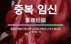 🌟중복 임신: 동일한 배란기에 다른 성교에 의하여 난자가 복수로 수정되는 것. - 표준국어대사전