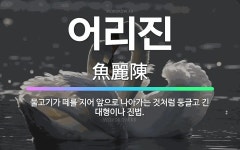 🌟어리진: 물고기가 떼를 지어 앞으로 나아가는 것처럼 둥글고 긴 대형이나 진법. - 표준국어대사전
