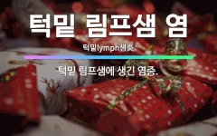 🌟턱밑 림프샘 염: 턱밑 림프샘에 생긴 염증. - 표준국어대사전