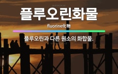 🌟플루오린화물: 플루오린과 다른 원소의 화합물. - 표준국어대사전