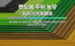 🌟편도샘 주위 농양: 편도염에 이어 일어나는 고름집. 편도 주위에 고름집이 생겨서 조금도 삼키지 못한다. - 표준국어대사전