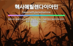 🌟헥사메틸렌다이아민: 암모니아 냄새가 나는 무색의 흡습성 고체. 나일론 합성 원료의 하나이다. 화학식은 N... - 표준국어대사전