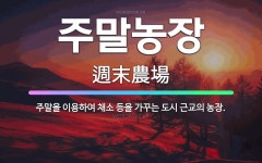 🌟주말농장: 주말을 이용하여 채소 등을 가꾸는 도시 근교의 농장. - 표준국어대사전