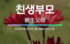 🌟친생부모: 친아버지와 친어머니를 아울러 이르는 말. - 표준국어대사전