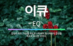 🌟이큐: 감성의 척도. 지능을 척도로 나타내어 표시하듯이 감성을 척도로 표시한 것이다. - 표준국어대사전