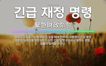 긴급 재정 명령: 국회의 소집을 기다릴 여유가 없을 때에 한하여, 대통령이 긴급 재정 처분의 실효성을 뒷... - 표준국어대사전