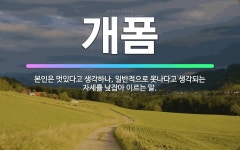 🌟개폼: 본인은 멋있다고 생각하나, 일반적으로 못나다고 생각되는 자세를 낮잡아 이르는 말. - 표준국어대사전