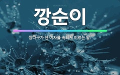 🌟깡순이: 깡다구가 센 여자를 속되게 이르는 말. - 표준국어대사전