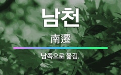 🌟남천: 남쪽으로 옮김. - 표준국어대사전