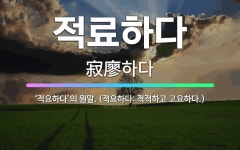 🌟적료하다: ‘적요하다’의 원말. (적요하다: 적적하고 고요하다.) - 표준국어대사전