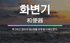 🌟화변기: 쭈그리고 앉아서 대소변을 보게 된 수세식 변기. - 표준국어대사전