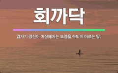 🌟회까닥: 갑자기 정신이 이상해지는 모양을 속되게 이르는 말. - 표준국어대사전