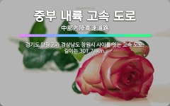 🌟중부 내륙 고속 도로: 경기도 양평군과 경상남도 창원시 사이를 잇는 고속 도로. 길이는 301.71km. - 표준국어대사전