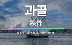 🌟과골: 발목 부근에 안팎으로 둥글게 나온 뼈. - 표준국어대사전