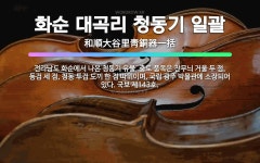 🌟화순 대곡리 청동기 일괄: 전라남도 화순에서 나온 청동기 유물. 출토 품목은 잔무늬 거울 두 점, 동검 ... - 표준국어대사전