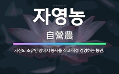 🌟자영농: 자신의 소유인 땅에서 농사를 짓고 직접 경영하는 농민. - 표준국어대사전