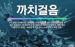 🌟까치걸음: 승무에서, 빠른 걸음으로 걷는 춤사위., 봉산 탈춤에서, 한 장단에 두 발 걸음으로 걸어가는 ... - 표준국어대사전