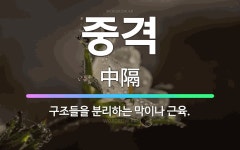 🌟중격: 구조들을 분리하는 막이나 근육. - 표준국어대사전