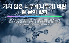 🌟가지 많은 나무에[나무가] 바람 잘 날이 없다: 가지가 많고 잎이 무성한 나무는 살랑거리는 바람에도 잎이... - 표준국어대사전