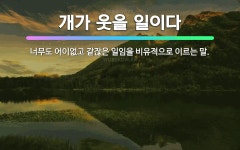 🌟개가 웃을 일이다: 너무도 어이없고 같잖은 일임을 비유적으로 이르는 말. - 표준국어대사전